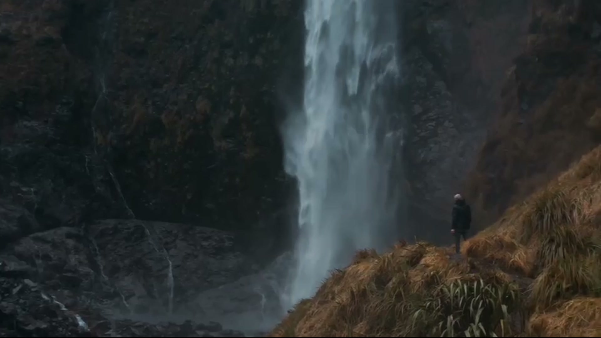 Scene from New Zealand